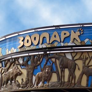 Зоопарки Покрова